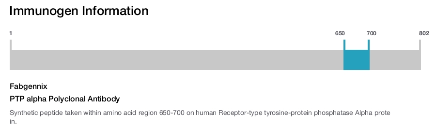 PTP alpha Polyclonal Antibody