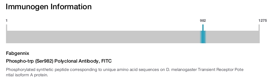 Phospho-trp (Ser982) Polyclonal Antibody, FITC