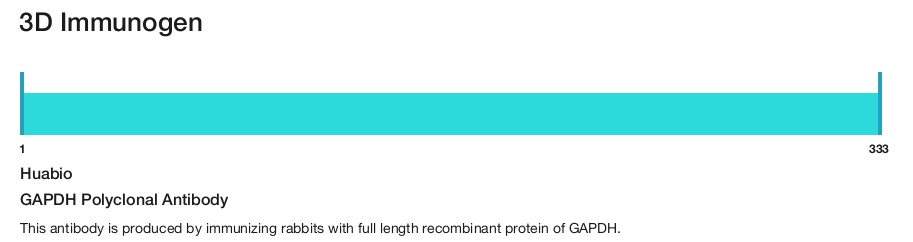 GAPDH Polyclonal Antibody