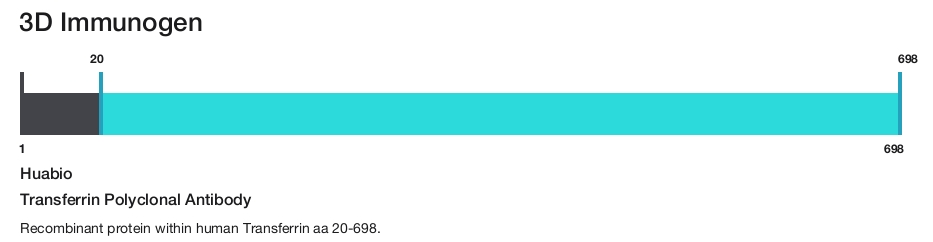 Transferrin Polyclonal Antibody