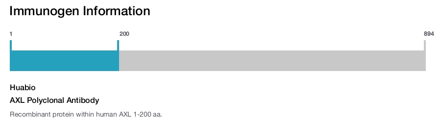AXL Polyclonal Antibody