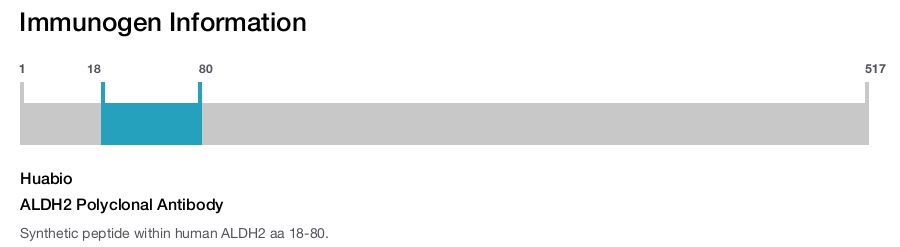 ALDH2 Polyclonal Antibody