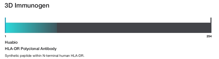 HLA-DR Polyclonal Antibody
