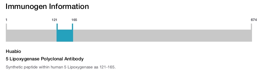 5 Lipoxygenase Polyclonal Antibody
