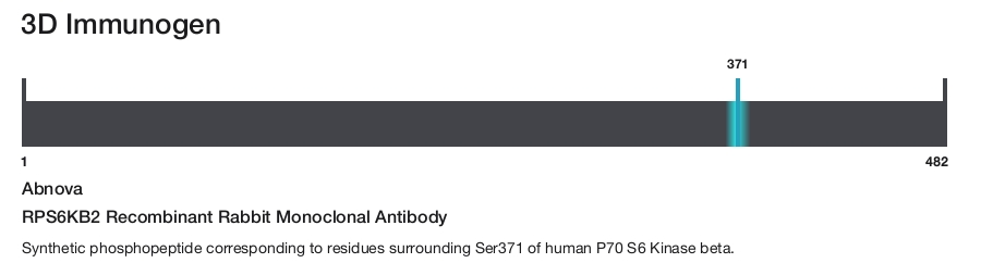 RPS6KB2 Recombinant Rabbit Monoclonal Antibody