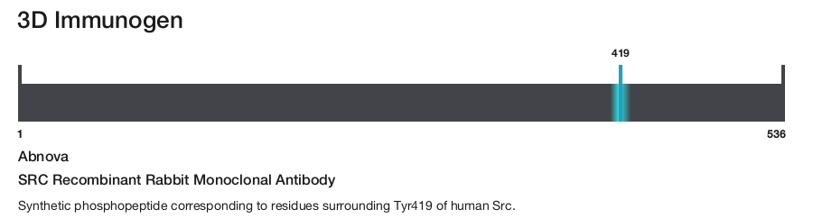 SRC Recombinant Rabbit Monoclonal Antibody