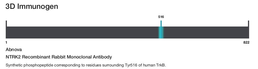NTRK2 Recombinant Rabbit Monoclonal Antibody