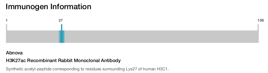 Immunogen Image H3K27ac Recombinant Rabbit Monoclonal Antibody