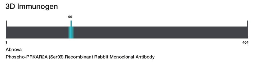 Phospho-PRKAR2A (Ser99) Recombinant Rabbit Monoclonal Antibody