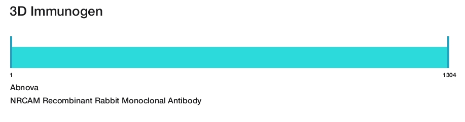 NRCAM Recombinant Rabbit Monoclonal Antibody