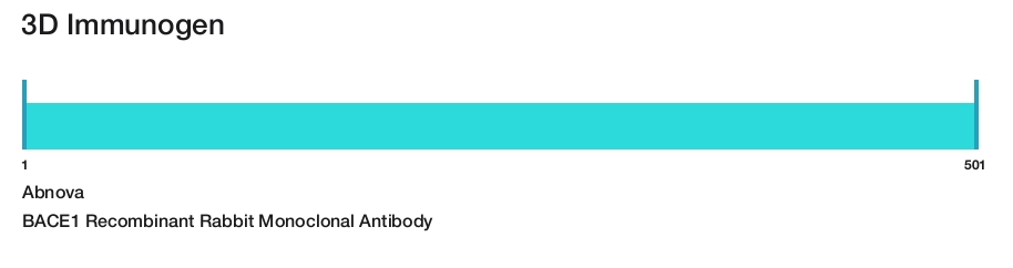 BACE1 Recombinant Rabbit Monoclonal Antibody