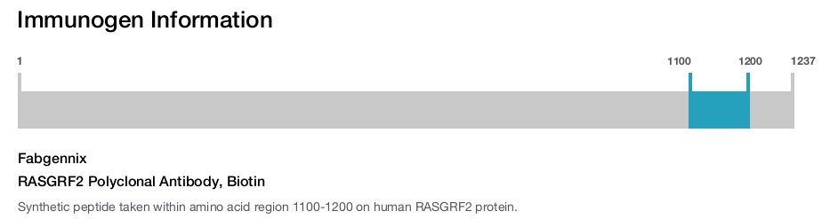 RASGRF2 Polyclonal Antibody, Biotin
