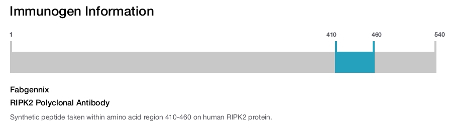 RIPK2 Polyclonal Antibody