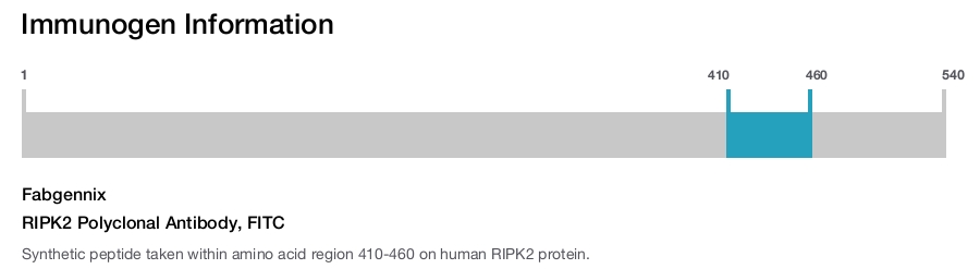 Immunogen Image RIPK2 Polyclonal Antibody, FITC
