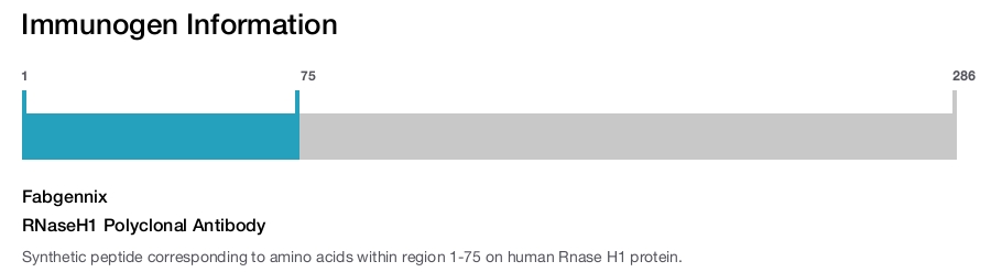 RNaseH1 Polyclonal Antibody