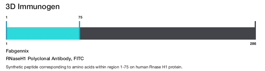 RNaseH1 Polyclonal Antibody, FITC