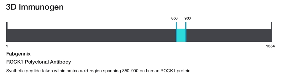 ROCK1 Polyclonal Antibody