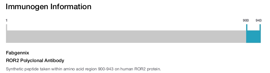 ROR2 Polyclonal Antibody