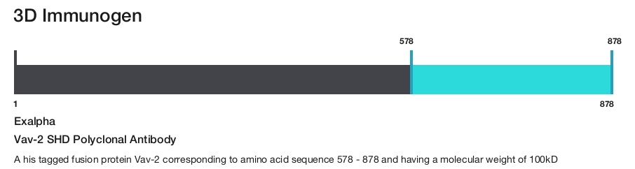 Vav-2 SHD Polyclonal Antibody