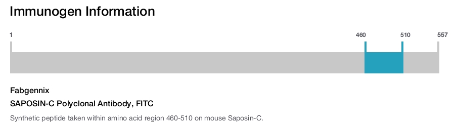 SAPOSIN-C Polyclonal Antibody, FITC