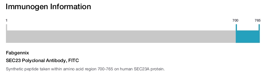 SEC23 Polyclonal Antibody, FITC