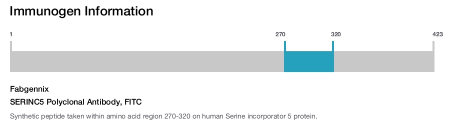 SERINC5 Polyclonal Antibody, FITC