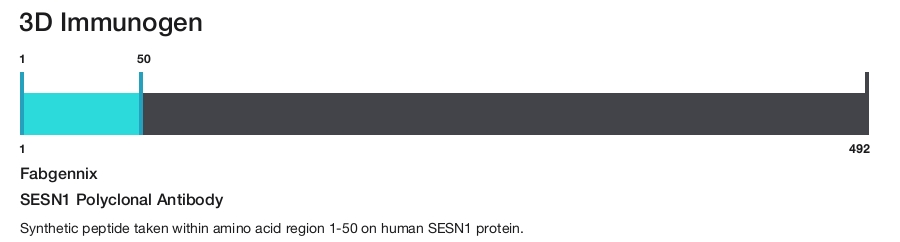 SESN1 Polyclonal Antibody