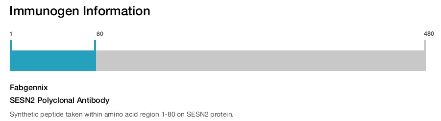 SESN2 Polyclonal Antibody