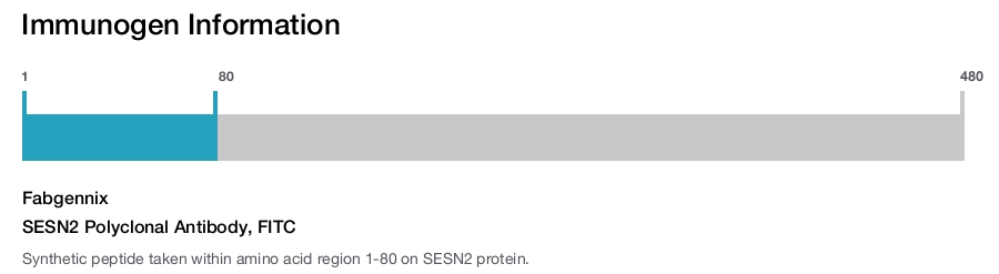 SESN2 Polyclonal Antibody, FITC
