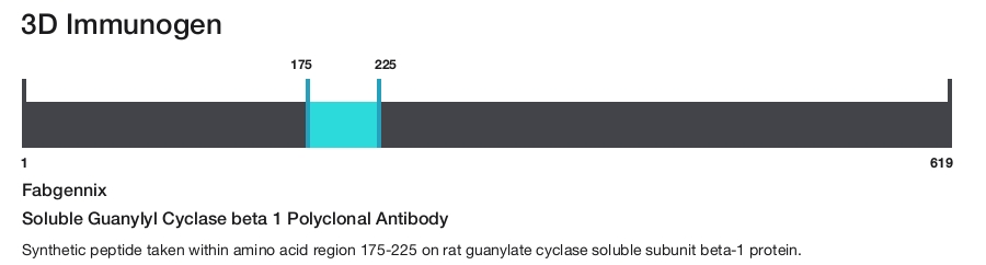 Soluble Guanylyl Cyclase beta 1 Polyclonal Antibody