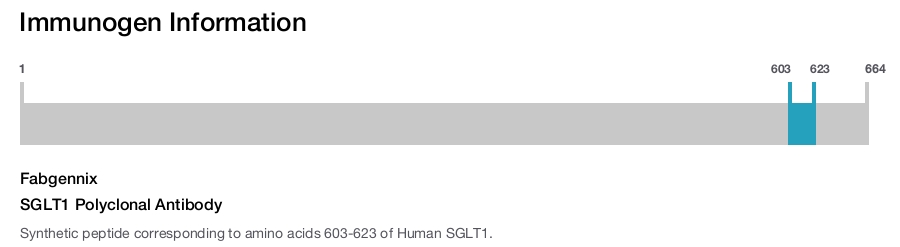 SGLT1 Polyclonal Antibody