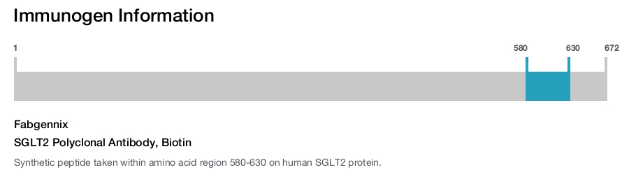 SGLT2 Polyclonal Antibody, Biotin