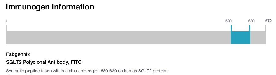 SGLT2 Polyclonal Antibody, FITC