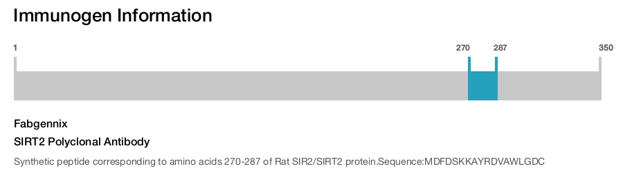 SIRT2 Polyclonal Antibody