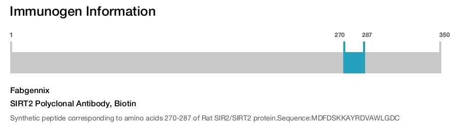 SIRT2 Polyclonal Antibody, Biotin