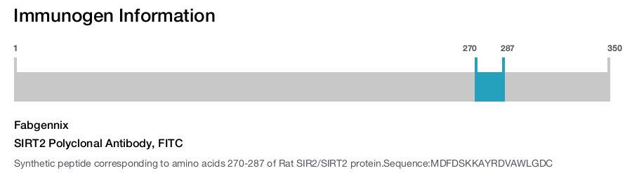 SIRT2 Polyclonal Antibody, FITC