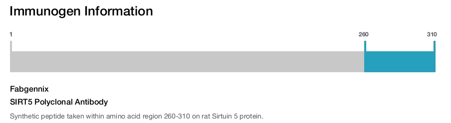SIRT5 Polyclonal Antibody