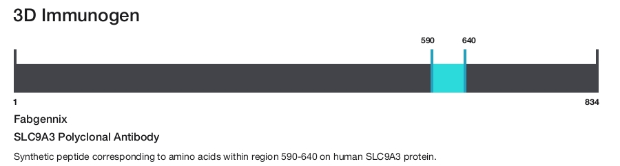SLC9A3 Polyclonal Antibody