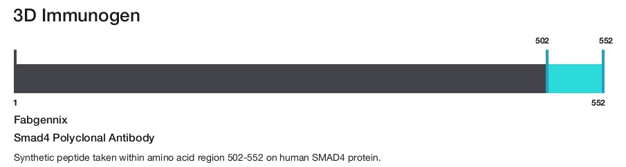 Smad4 Polyclonal Antibody