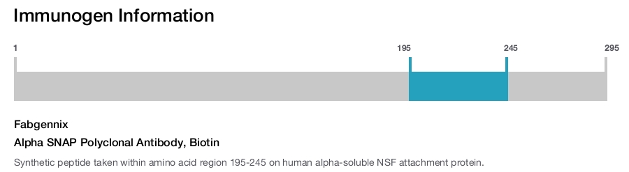 Alpha SNAP Polyclonal Antibody, Biotin