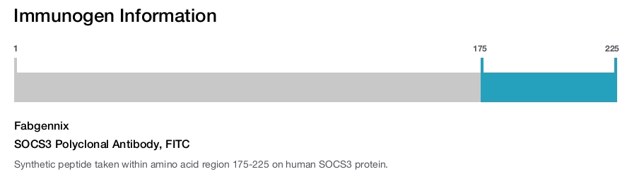 SOCS3 Polyclonal Antibody, FITC