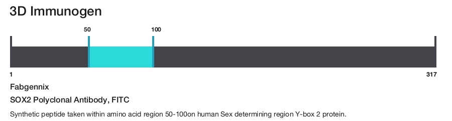 SOX2 Polyclonal Antibody, FITC
