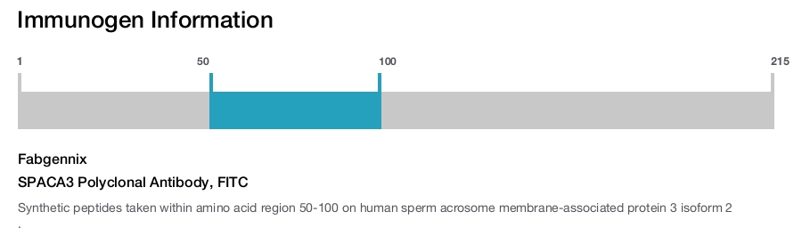 SPACA3 Polyclonal Antibody, FITC