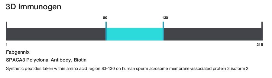 SPACA3 Polyclonal Antibody, Biotin