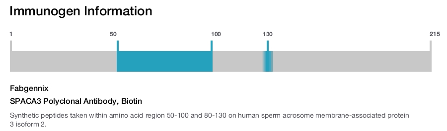 SPACA3 Polyclonal Antibody, Biotin