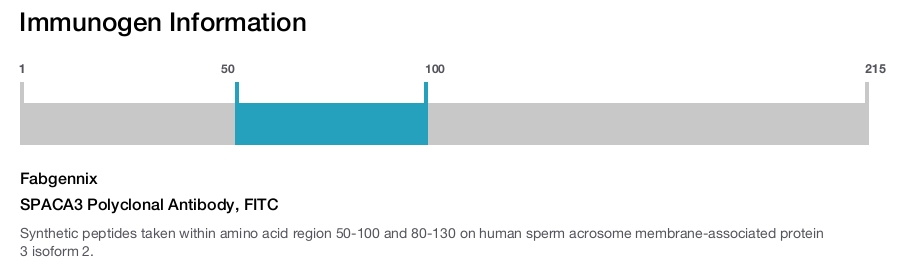 SPACA3 Polyclonal Antibody, FITC