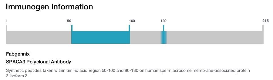 SPACA3 Polyclonal Antibody