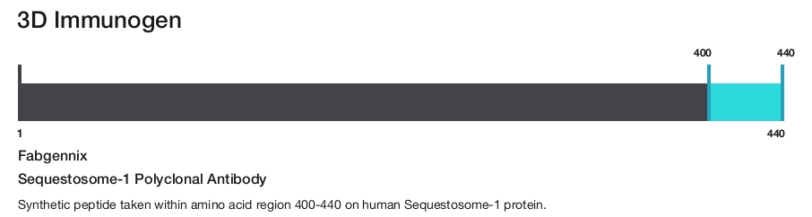 Sequestosome-1 Polyclonal Antibody