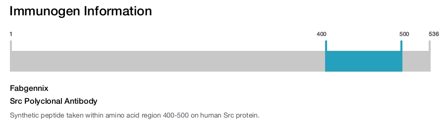 Src Polyclonal Antibody