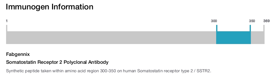 Somatostatin Receptor 2 Polyclonal Antibody